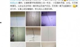 新星宇最新爆料,揭秘神秘项目背后的惊人真相