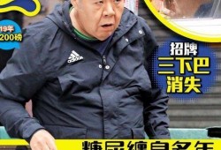 肥猫最新爆料新闻,最新爆料新闻背后的惊人真相
