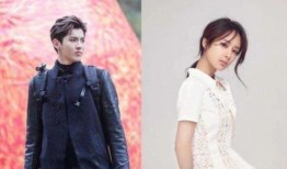 杨紫与吴亦凡最新爆料,揭秘娱乐圈背后的真相