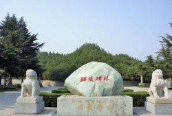 运城袁家村爆料案件最新,揭开背后惊人真相