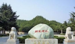 运城袁家村爆料案件最新,揭开背后惊人真相