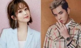 杨紫与吴亦凡最新爆料,揭秘娱乐圈背后的真相