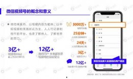 石海驾校最新爆料视频下载,揭秘驾校内部操作与学员真实体验