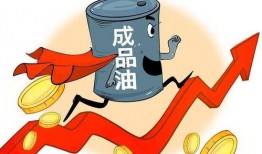 最新油价爆料新闻视频,揭秘最新爆料视频背后的真相与影响
