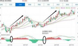 最新庄家爆料,庄家最新爆料揭示市场动向